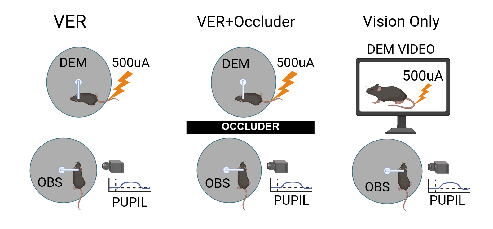 Experimental Design