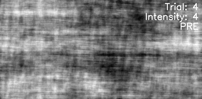 Phase scrambled video